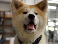 -YCHL Studios健身工作室(市二宫店)