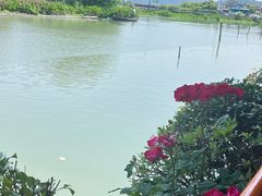 -晓琦农家菜馆·地道农家菜