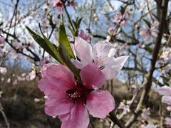 -白水寺森林公园