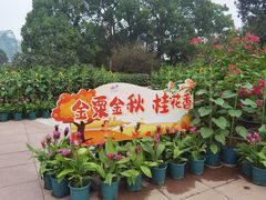 -南山植物园