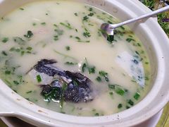 -聚丰园.百年传承(五爱广场店)
