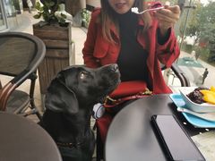 -满记甜品(大悦城店)