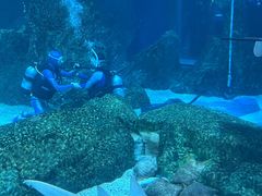 -海合安成都极地海洋公园