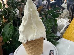 -野人先生Gelato(上海长宁龙之梦店)