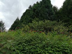 -山王坪喀斯特国家生态公园