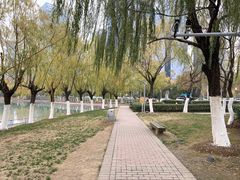 -天鹅湖体育公园