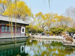 -趵突泉景区