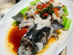 -侨美食家·40年地道粤菜(珠江新城店)