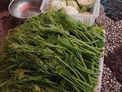 -寂照庵
