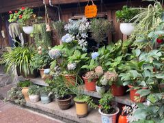 -龙姐私房菜(和顺古镇店)