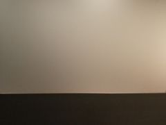 -全聚德烤鸭店(和平路店)