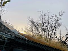 -南锣鼓巷