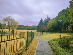 -黄兴公园
