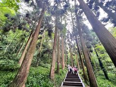 -青城山