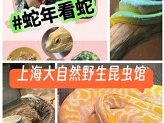 -上海大自然野生昆虫馆(东方明珠·爬宠昆虫探索中心)