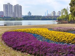 -黄兴公园
