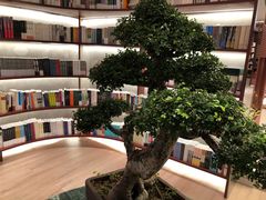 -二酉书店TOYOU BOOKS