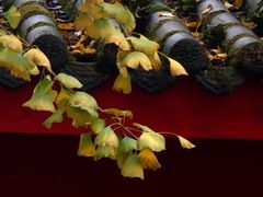 -金堂县云顶石城风景区