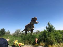 -亿利库布其七星湖沙漠生态旅游区