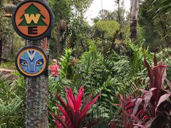 -奥兰多迪士尼动物王国乐园