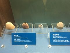 -荆州博物馆