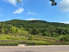 -铁山坪森林公园