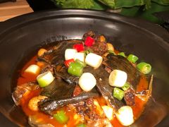 -长沙富力万达文华酒店