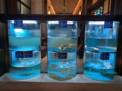 -吉阳酒店(奥山店)