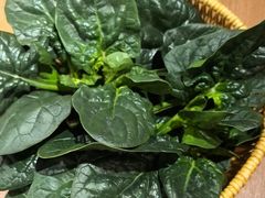 -巴奴毛肚火锅(相州店)