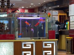 -良友·地标海鲜青岛菜(五四广场店)
