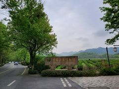 -龙井村