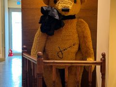 -济州岛泰迪熊博物馆