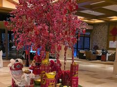 -长白山万达喜来登度假酒店