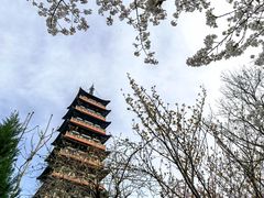 -大明寺素斋