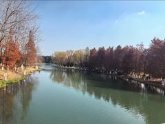 -滨湖塘西河公园