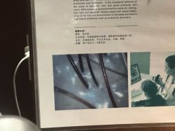 -呵呵造型