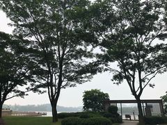 -美的鹭湖森林度假区
