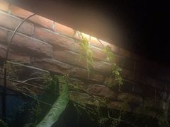 -观唐足道SPA养生会馆(南湖店)