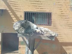 -青藏高原野生动物园