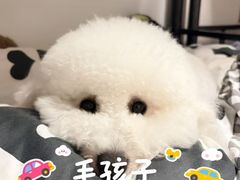 -科道动物医院·急重症中心(万达院)