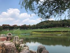-大塘金香草谷