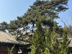 -潭柘寺景区