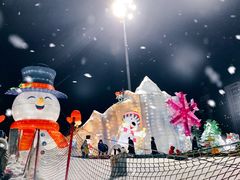 -沈阳奥体冰雪嘉年华