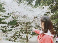 -武汉大学-樱园