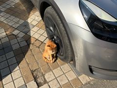 -王老三清真牛肉汤