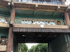 -热带风暴水上乐园(新镇路)