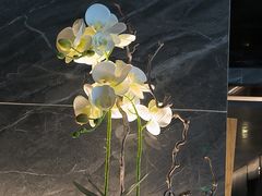 -华夏良子·足道SPA艾灸(金皇大厦店)