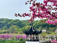-苏州上方山国家森林公园