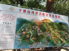 -千佛山风景名胜区