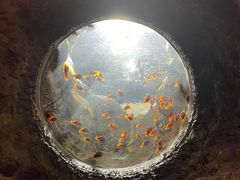 -珠海长隆海洋王国